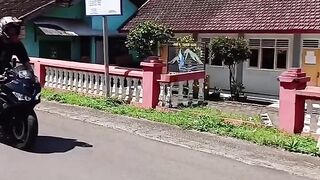 Friendly 6