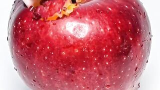 funny toy eat Apple