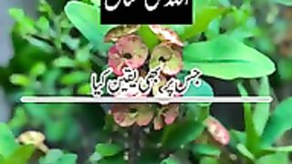 Razzaq5-Beautiful video ---Hazrat touching video -you tube short video -Allah per yakeen rakho️_144p.