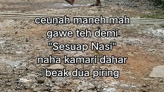 ayam broiler || kata kata lucu 424