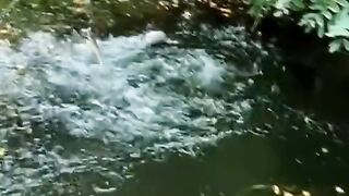 Amazing moment fish 2024‼️????