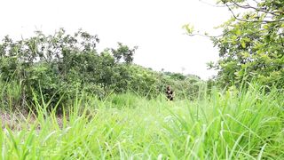 Find Catch Insects On Tree for Food - Cook Insects for Delicious Eat, Primitive Survival Skill ep 14