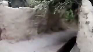 واحة مدينة تدمر  ٧