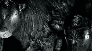 Cattle Rancher has a Big Problem | Hunting Predators with Thermal 2