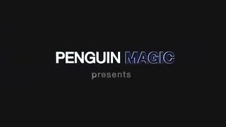 Magic Door Prank 2