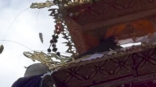 a man dared to take pure gold leaves from the top of the bade ngaben with a height of 12 meters