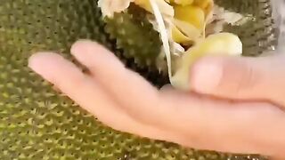 Wowwwww 4