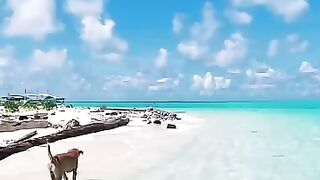 Amazing journey