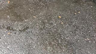 Дождливая погода в Киеве