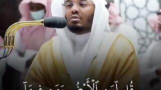 الشيخ ياسر الدوسري 3