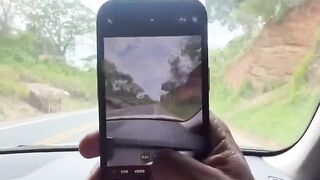 Travelling Stories I