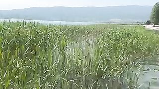 Ohrid Lake Struga