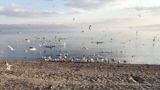 Ohrid Lake Struga 2