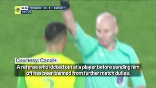 French football referee banned after kicking out!