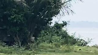 Parcelle en vente en Côte d'Ivoire