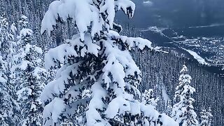 Views from the banff gondola