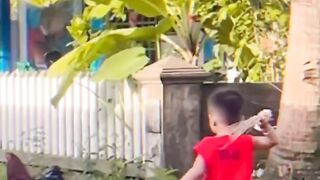 Não brinca com os animais