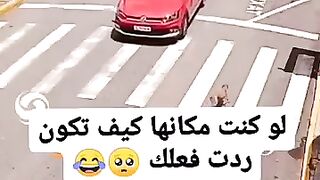 قتلتني النغمة متت ضحك