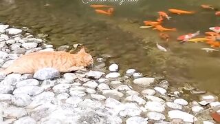 Pescador