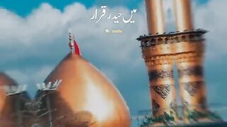 0:03 / 0:29   Mai haidre karrar ke saye me pala hu | Nuha Nadeem Sarwar | Whatsapp Status Best Nadeem Sarwar