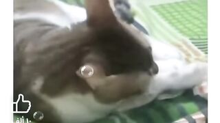 ماما بتخوف الكل