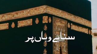 video 650