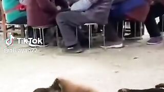 Funny clip 122