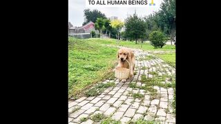 Do good you will get positive message????!
