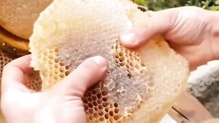 ???????????????? 153