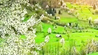 ????کلام الله پاک???? 4