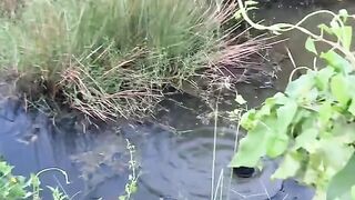 Funny fishing????‼️