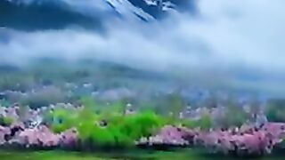 nice nature