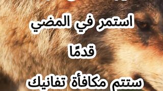 اتستمر في التركيز