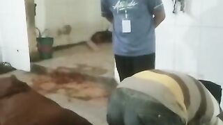 how to slaughter a cow