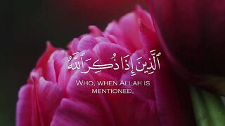 Quran Al Kareem 37