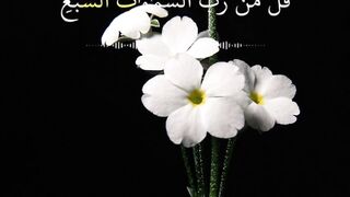 Quran tilawat 14