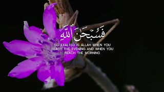 Quran Al Kareem 41