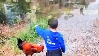 Babyvideo