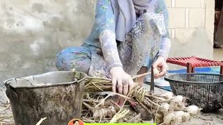 Beautiful quran recitation 2