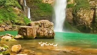 Beautiful nature ❤️❤️❤️ 2