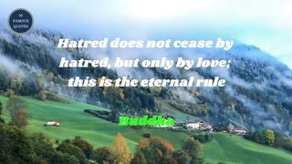 famous quotes about love | Part 195