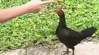 Now that's very weird