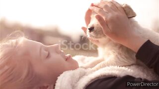 _cute dogs__Pets dog__pets animal