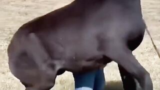 Funny video