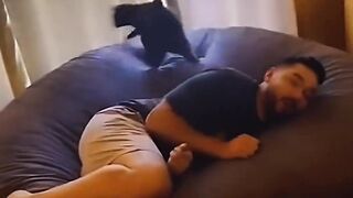 Cute videos cat
