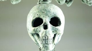 [free]best trap music type beat hip-hop instrumental SMOKING SKULL