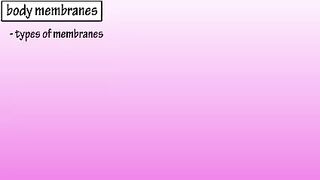 Body Membranes