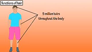 Functions Of Hair - The Purpose Of Hair - Why Do We Have Hair