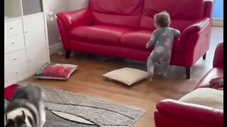 لعب الاطفال مع الحيوانات مضحك للغايه
