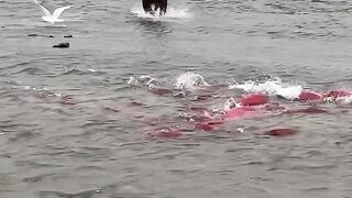 Pescador 2